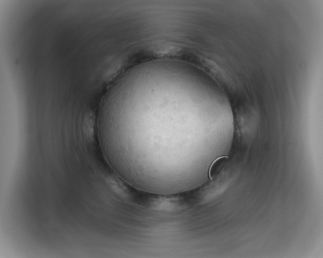 X0000113140664200909110935