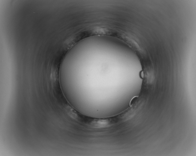 X0000113140665200909110935