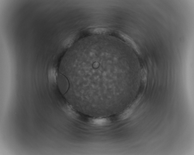 X0000113140669200909110935