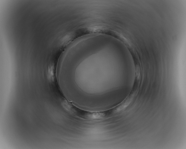 X0000113140670200909110935