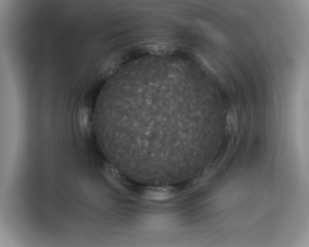 X0000113140671200909110935