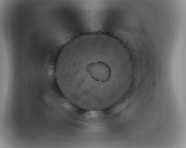 X0000113140672200909110935