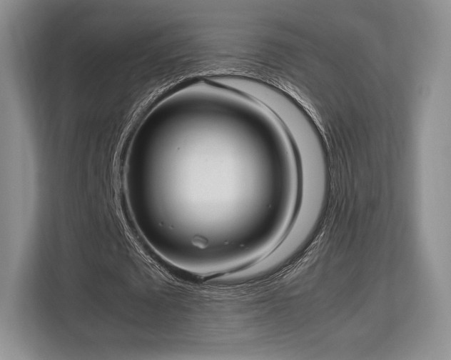 X0000113140673200909110934