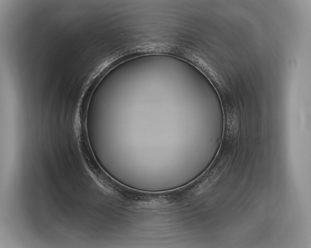 X0000113140674200909110934