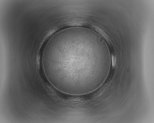 X0000113140675200909110934