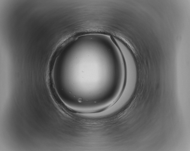 X0000113140677200909110934