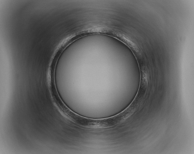 X0000113140678200909110934