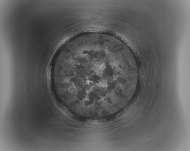 X0000113140679200909110934