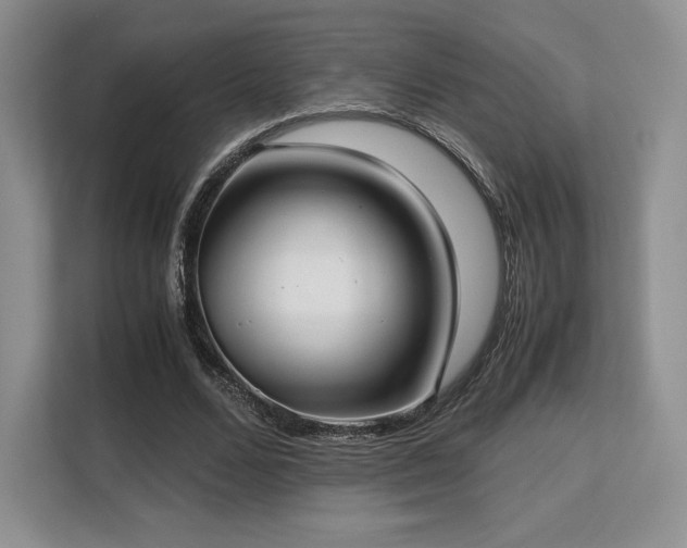 X0000113140680200909110934