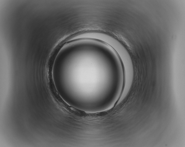 X0000113140684200909110934