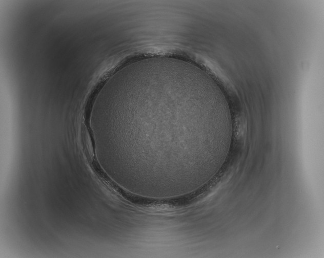 X0000113140685200909110934