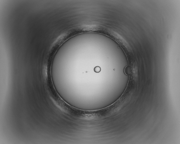 X0000113140686200909110934