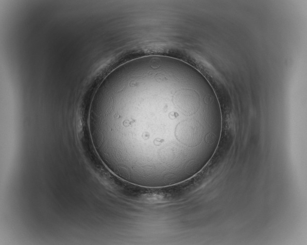 X0000113140687200909110934