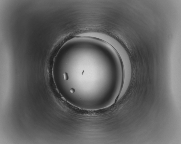 X0000113140688200909110934