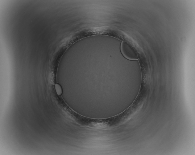 X0000113140689200909110934