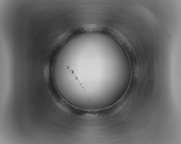 X0000113140690200909110934