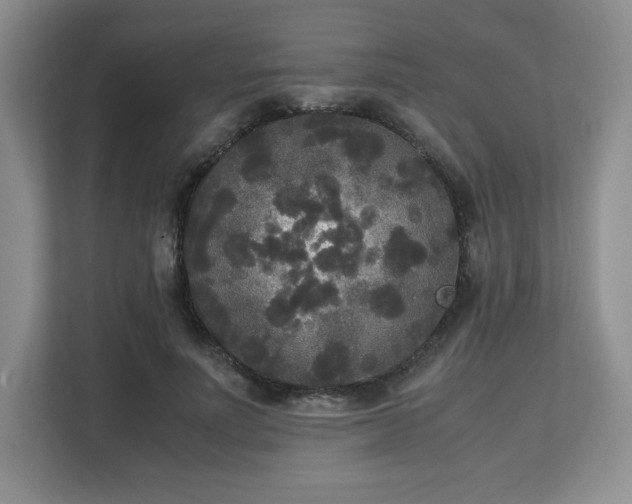 X0000113140691200909110934