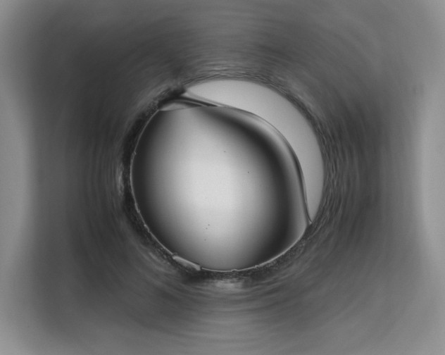 X0000113140692200909110934