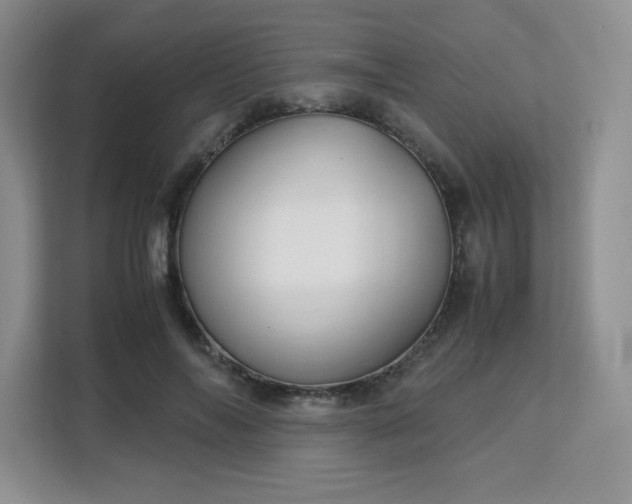 X0000113140694200909110934