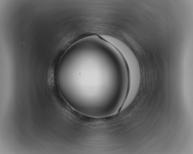 X0000113140696200909110934