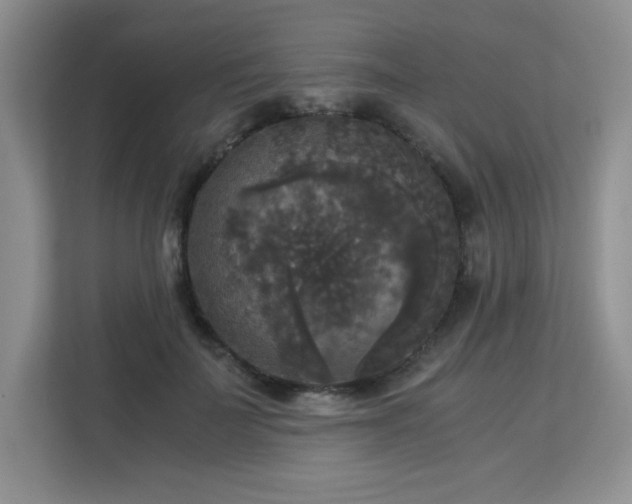 X0000113140699200909110934