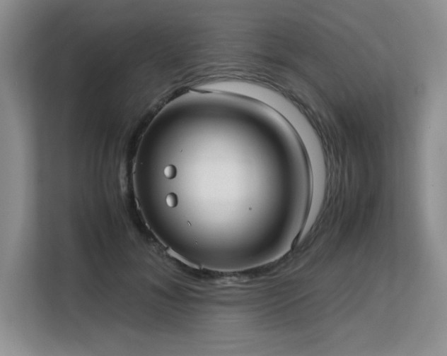 X0000113140700200909110934