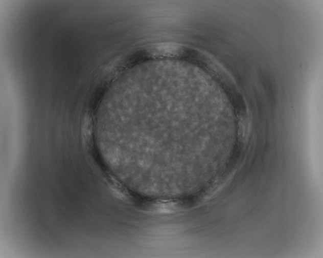 X0000113140701200909110934