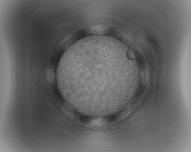 X0000113140705200909110934