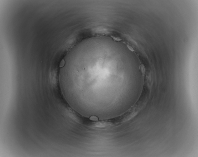 X0000113140708200909110934