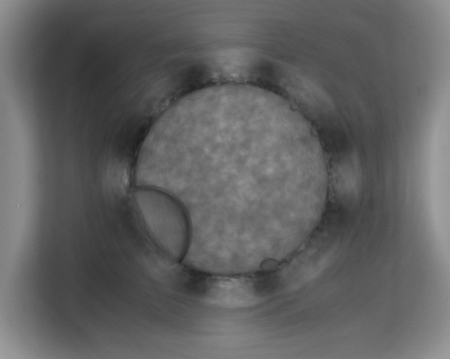 X0000113140709200909110934