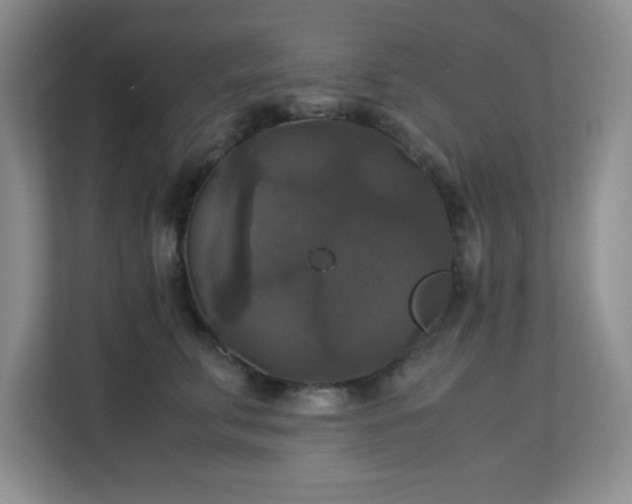 X0000113140711200909110934