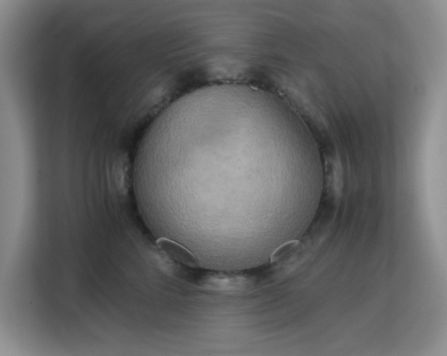 X0000113140712200909110934