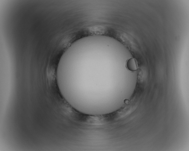 X0000113140713200909110934