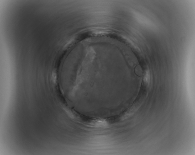 X0000113140715200909110934