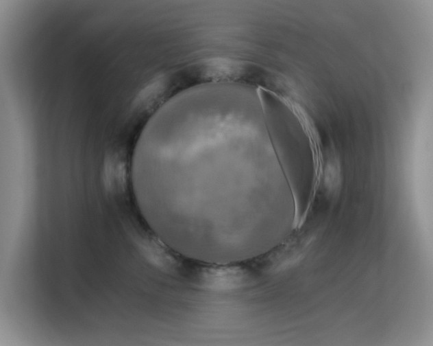 X0000113140716200909110934