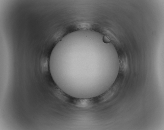 X0000113140717200909110934