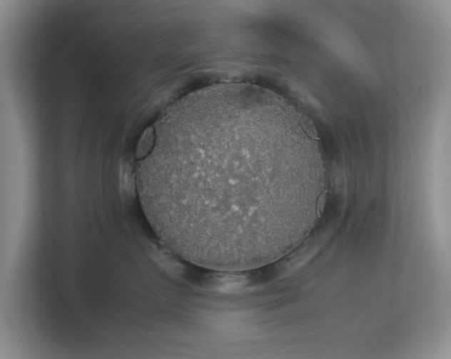 X0000113140719200909110934