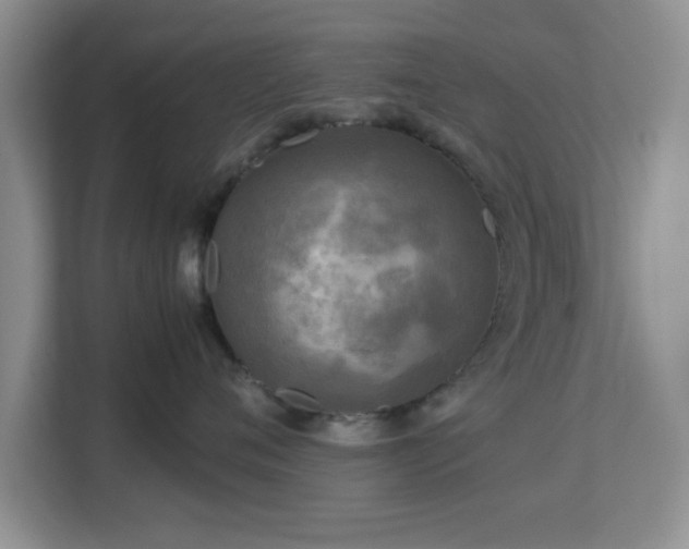 X0000113140720200909110934