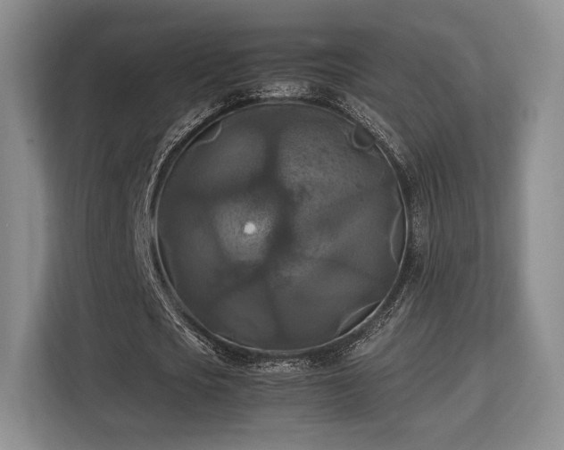 X0000113140721200909110933