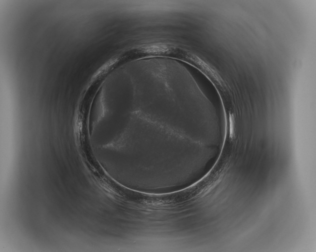 X0000113140723200909110933