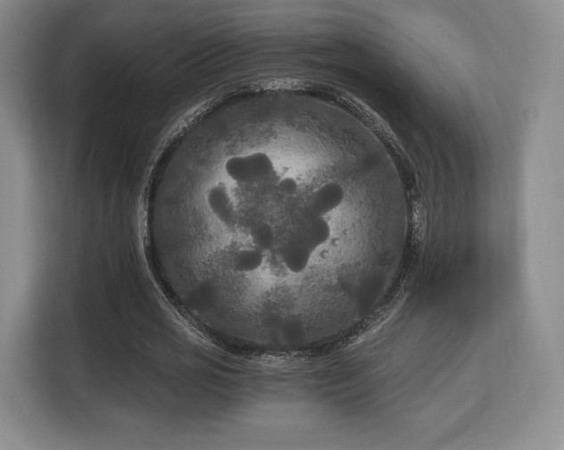 X0000113140725200909110933