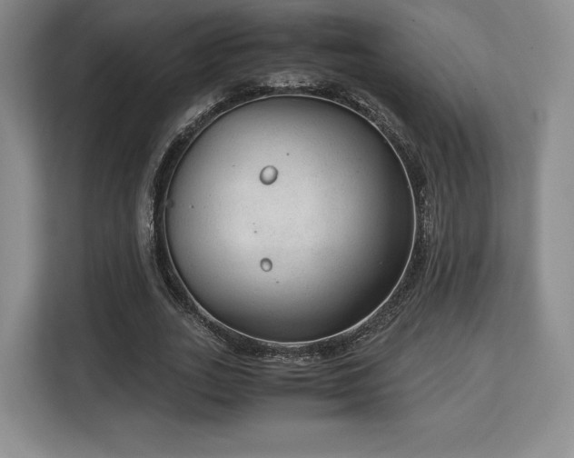 X0000113140727200909110933