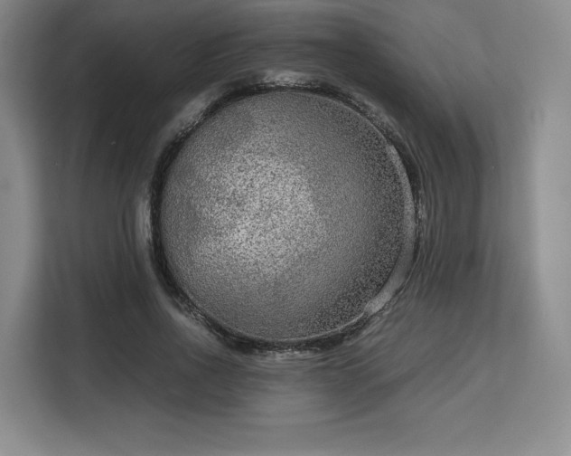 X0000113140734200909110933