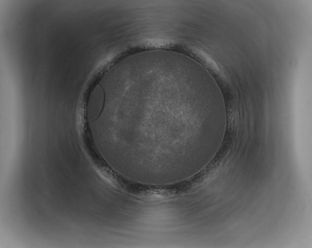 X0000113140736200909110933