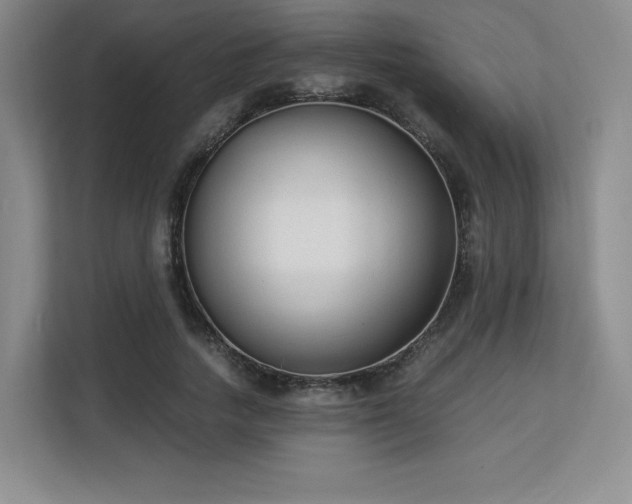 X0000113140738200909110933