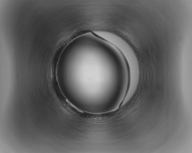 X0000113140740200909110933