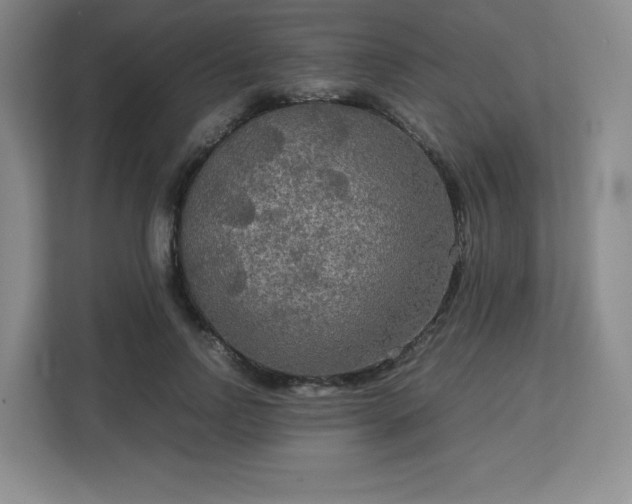 X0000113140742200909110933