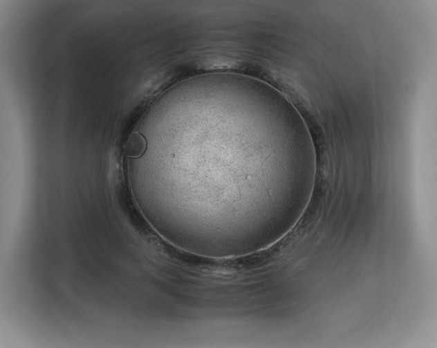 X0000113140743200909110933