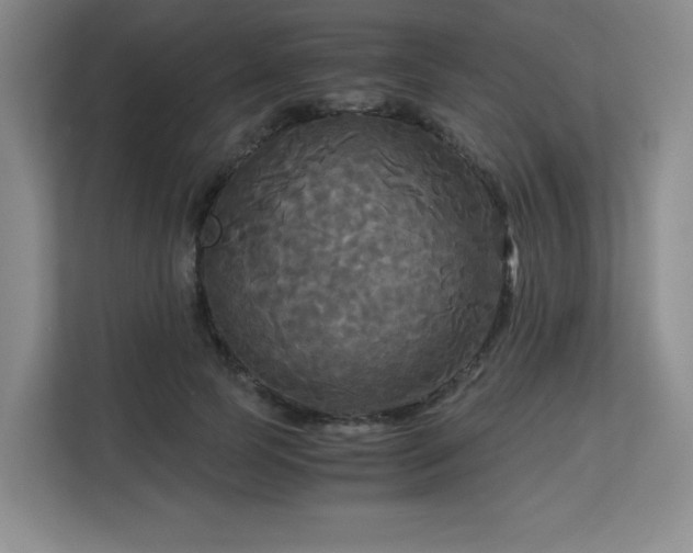 X0000113140745200909110933