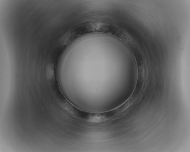 X0000113140754200909110934